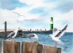 Poster DIN-A4 Warnemünde Westmole grün mit Möwen - WA13